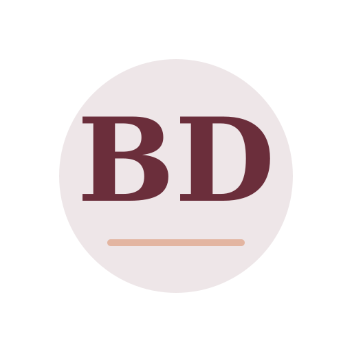 Bridgewater Dryer Cleaning Services logo
